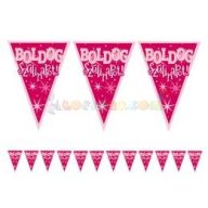   Boldog Szülinapot! Rózsaszín Lányos Zászlófüzér - 5 m