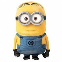 Minion party