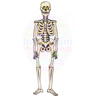Csontváz Dekoráció Halloweenre
