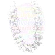 Fehér Hawaii Parti Nyakfüzér