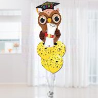 Bagoly Ballagási Héliumos Luficsokor