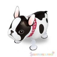 Sétáló francia bulldog fólia lufi - 50 cm