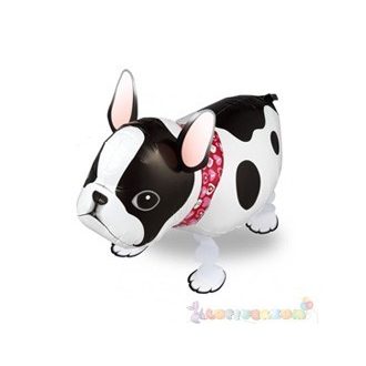 Sétáló francia bulldog fólia lufi - 50 cm