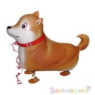 Sétáló shiba-inu fólia lufi - 50 cm