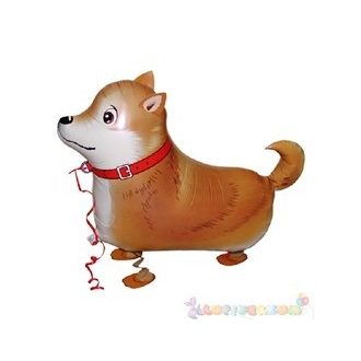 Sétáló shiba-inu fólia lufi - 50 cm