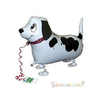 Sétáló Pointer fólia lufi - 50 cm
