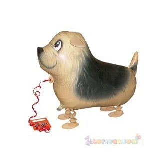 Sétáló Terrier fólia lufi - 50 cm