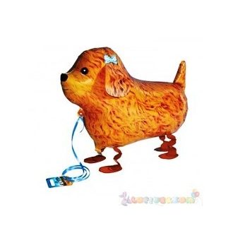 Sétáló pudlikutya fólia lufi - 50 cm