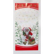 Mikulás zacskó - 10 db-os