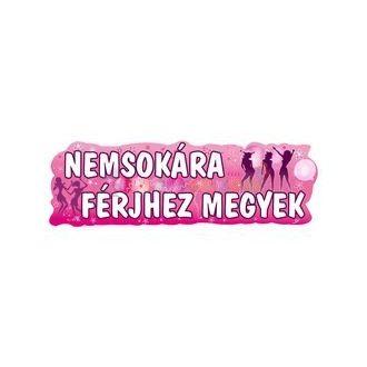 Nemsokára Férjhez Megyek Banner - 90 cm x 27 cm